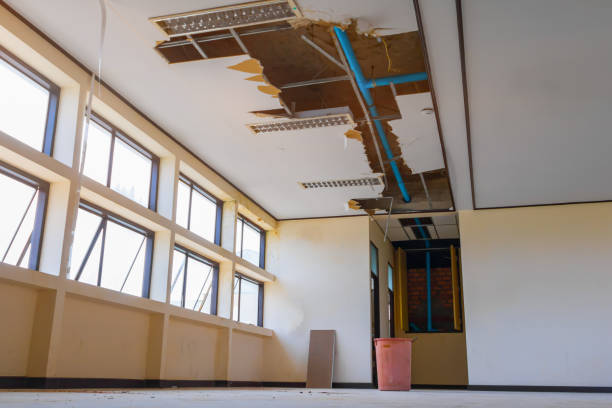 Best Professional water damage repair  in Plymouth, CA