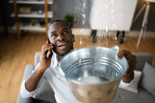 Best Water damage restoration near me  in Plymouth, CA