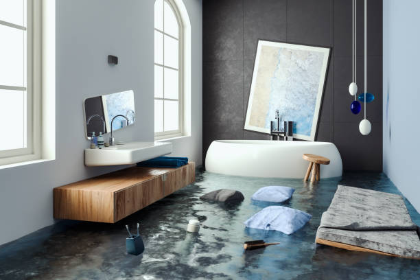 Best Water damage contractors near me  in Plymouth, CA