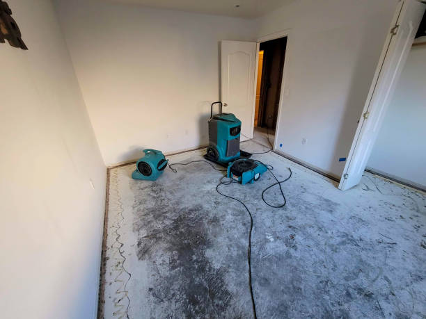 Best Fire Damage Restoration  in Plymouth, CA