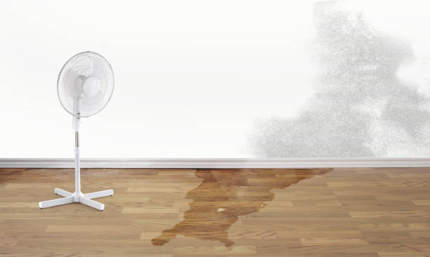 Best Water damage restoration near me  in Plymouth, CA