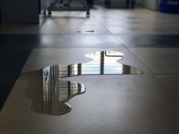 Best Carpet water damage restoration  in Plymouth, CA