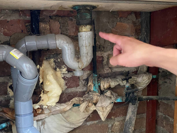 Best Mold removal after water damage  in Plymouth, CA
