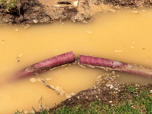 Trusted Plymouth, CA Water damage restoration Experts