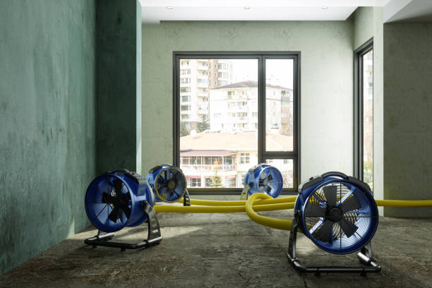 Best Basement water damage restoration  in Plymouth, CA