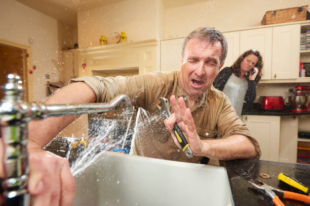 Best Water damage restoration mold remediation  in Plymouth, CA